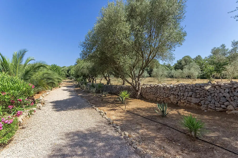 Casa Arco Villa Costitx